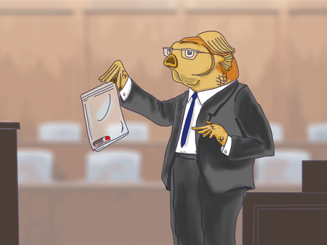 Goldfish lawyer showing the court evidence